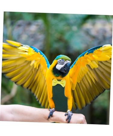 MipCase 4-Piece Flying Bird Diapers & Costume for Small Chickens | Pet Parrot Flight Suits with Leash - Ideal for Wave Sibling and Xuanfeng Birds - Buy Online on GoSupps.com