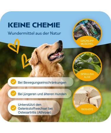 Hundpur Joints 300g - Premium Dog Pellets for Joint Metabolism Support & Osteoarthritis Relief - With Green Lipped Mussel Glucosamine & MSM - Made in Germany - Buy Online on GoSupps.com