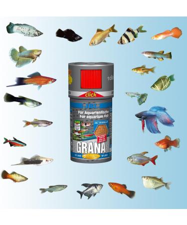 JBL Grana 40646 Premium Food for Small Aquarium Fish - 100 ml Granules No Taste - 43 g Pack - Buy Online on GoSupps.com