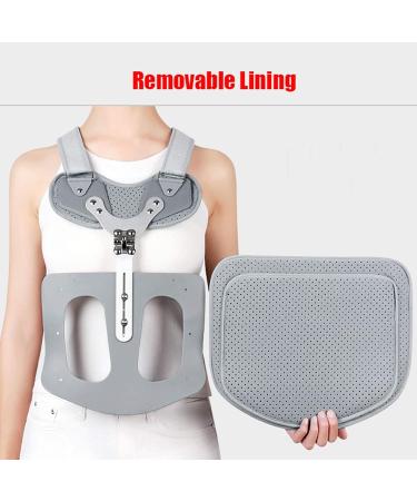 Wedf Thorakolumbale Solid Spinal Support Belt - Adjustable Lumbar Support for Herniated Disc Sciatica Stenosis & Scoliosis - Pain Relief Solution - Buy Online on GoSupps.com