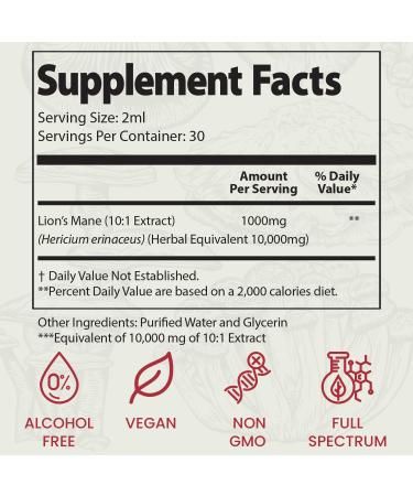 Auri Focus Gummies & Brain Boost Elixir Bundle - Super Mushroom Focus Gummies & Lion s Mane Liquid Elixir - Cognitive Function & Mental Clarity Supplement - 60 Gummies and 60ml Elixir - Buy Online on GoSupps.com