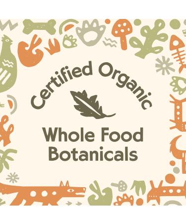 Cave Pets Super Blend Powder Dog Probiotic Supplement for Immunity and Digestive Health Support Multi-Shroom & Probiotics 90 Servings Multi-Shroom + Probiotics - Buy Online on GoSupps.com