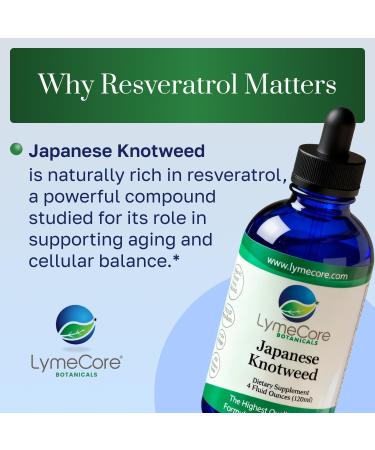 LymeCore Japanese Knotweed Supplement | Immune Health & Balanced System Response | 4 fl. oz. - Buy Online on GoSupps.com