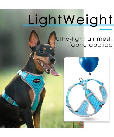 Thinkpet No-Pull Dog Harness Leash Set - Breathable Padded Reflective Safety Harness for Small Medium Large Dogs - Adjustable Running Harness (1 Pack) - Blue - Buy Online on GoSupps.com