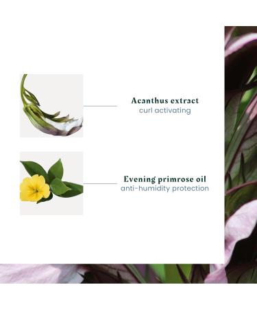 Ren Furterer - SUBLIME CURL - Curl Enhancing Shampoo - Curly Wavy Hair Frizz Control - 200ml - Buy Online on GoSupps.com