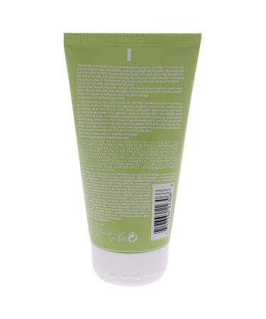 Origins Perfect World Antioxidant Cleanser - 5 oz Tea Tree - 1 Count - Buy Online on GoSupps.com