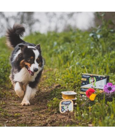 BALANCE & Instinct - Adult Dog - Lamb Wet Food Pate - Summer Limited Edition - Complete Recipe Formulated with Veterinarians - 4x300g - Made in France - Buy Online on GoSupps.com