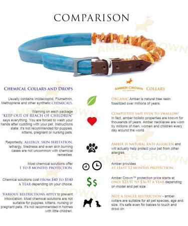 Premium Amber Necklace for Dogs & Cats | Leather Clasp | Flea & Tick Protection 30-35cm - Buy Online on GoSupps.com