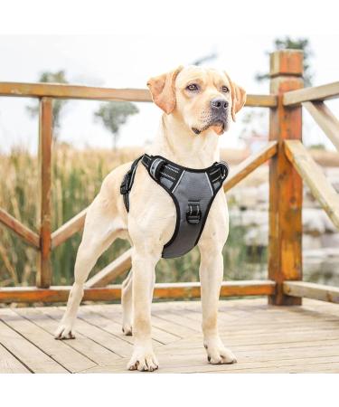 Heele Dog Crockery & No-Pull Harness | Adjustable Reflective Dog Dishes for Large Dogs - Gray XL - Buy Online on GoSupps.com