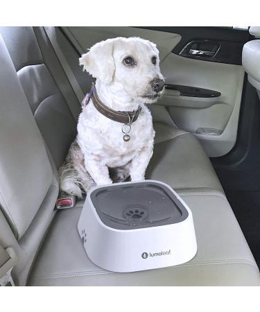 Leak-Proof LumoLeaf 35oz Dog Water Bowl | No-Spill Slow Feeder for Pets - Buy Online on GoSupps.com