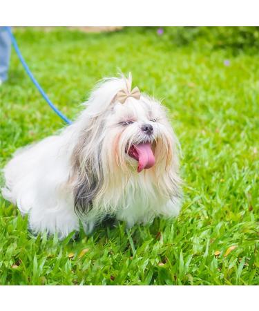 KMZ 30Pcs Mixed Colors Dog Hair Bows with Elastic Rubber Bands Cute Dog Grooming Bows Puppy Hair Accessories for Long Hair Pet Dogs Cats - Buy Online on GoSupps.com