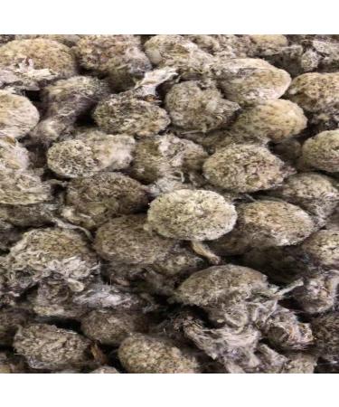 cn herb 250g Tibetan Tibetan Snow Lotus Camellia Color Good Bulk - Buy Online on GoSupps.com