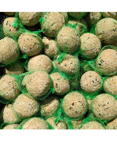 Premium fat balls with insects 100 x approx. 90 grams with net