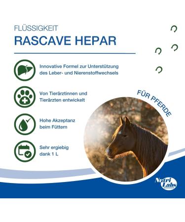 Nutrilabs Rascave Hepar Juice for Horses - 1L Milk Thistle Supplement for Liver & Kidney Health - Premium Nutritional Products for Horses - Buy Online on GoSupps.com