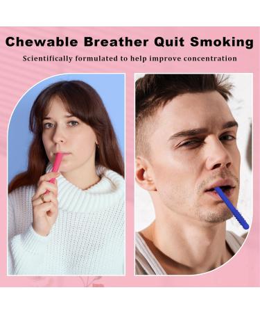 5Pcs Chewable Breather Quit Smoking with 5 Refill Sticks Chewable Breather Sticks Portable Quit Smoking Sticks with Multiple Flavors for Concentration G Orange+Mint+Strawberry+Blueberry+Apple - Buy Online on GoSupps.com