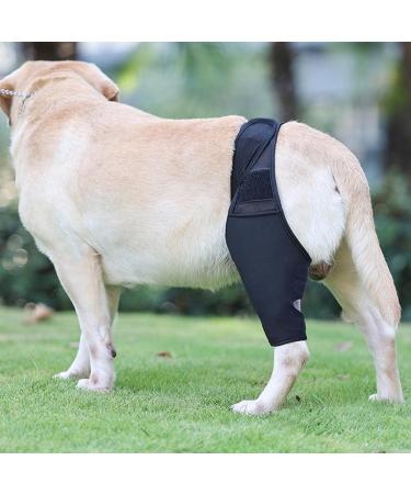 Hip Brace for Dogs - Flexible Hip Brace for Dogs Dog Hip Joint Brace for Torn ACL Patella Luxation Osteoarthritis Limping from Joint Hip Dysplasia Kot-au Black Medium - Buy Online on GoSupps.com
