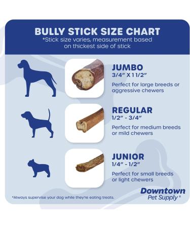 Downtown Pet Supply Bully Sticks for Dogs (12" 10-Pack Jumbo) Non-GMO Grain Free Rawhide Free Dog Chews Long Lasting Pizzle Sticks - Low Odor Bully Sticks for Large Dogs - Buy Online on GoSupps.com