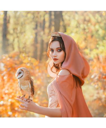 Pink Tiara - Vintage Rhinestone Crown for Women & Girls - Prom Queen, Birthday, Pageant, Quinceanera - Renaissance Costume - Gold - Buy Online on GoSupps.com