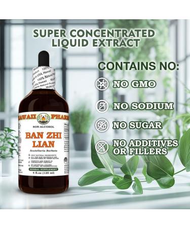 Ban Zhi Lian (Scutellaria Barbata) Dry Herb Glycerite Made in Hawaii All Natural Vegan Lab Tested Alcohol-Free Liquid Extract - 2 fl.oz 2 Fl Oz (Pack of 1) - Buy Online on GoSupps.com