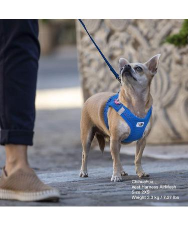 Buy Vest Harness Air-Mesh Skyblue M | Durable Dog Harness with D-Ring Buckle - Perfect for International Shipping - Buy Online on GoSupps.com