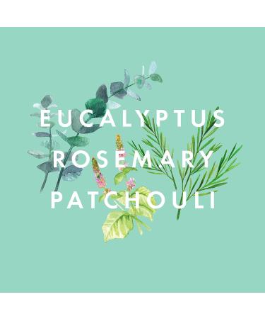 NEOM- Big Day Energy Face Mist 75ml | Calms Refreshes & Energises | Eucalyptus Rosemary & Patchouli | For bright dewy skin | Vegan | 100% Natural Fragrance - Buy Online on GoSupps.com