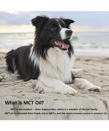 Pleasantly Warm Mct Oil for Dogs 90 Servings Medium Chain Triglycerides.Coconuts C8 and C10 Healthy Digestion Shiny Hair - Buy Online on GoSupps.com