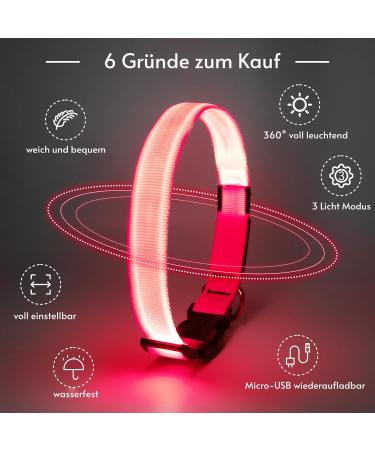 Koskill Luminous LED Dog Collar - Waterproof & Adjustable for Medium/Large Dogs - USB Rechargeable - Super Bright Rosa - Buy Online on GoSupps.com