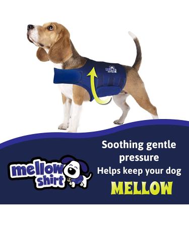 Mellow Shirt Dog Anxiety Calming Wrap - Medium (26-40 lb) Radiant Orchid - Buy Online on GoSupps.com