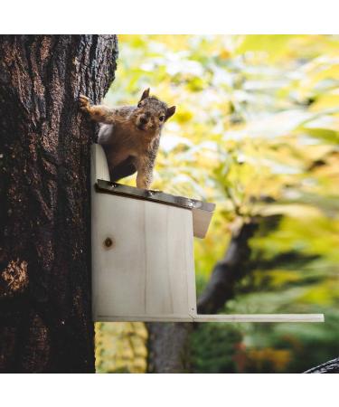Navaris Squirrel Feeder - Durable Pine Wood House for Outdoors - Metal Roof Feeding Station for Garden Backyard Squirrels - Buy Online on GoSupps.com