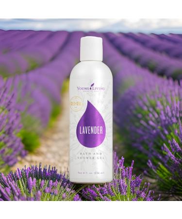 Young Living Lavender Bath & Shower Gel 8 oz - Gentle Cleanser Moisturizes Skin Premium Essential Oil Body Wash - Buy Online on GoSupps.com