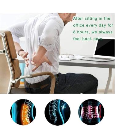 Men & Women Lumbar Support Belt | X-Large Waist Trainer for Pain Relief Posture & Gym | Adjustable Support for Office Workers - Buy Online on GoSupps.com