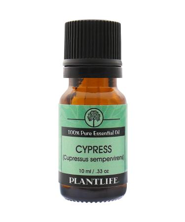 Cypress 100% Pure Essential Oil - 10 ml