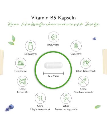 Vitamin B5 500mg - 180 Vegan Capsules | High-Dose Pantothenic Acid | Lab Tested for Purity - Premium B Vitamin for Skin & Nerves - Buy Online on GoSupps.com