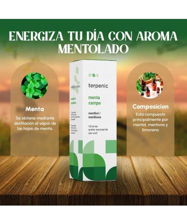  Terpenic Labs Terpenic Champo Mint 10 ml 10 ml - Buy Online on GoSupps.com