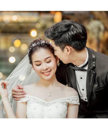 FRCOLOR Butterfly Headband Double Layer Hairband Shiny Bride Headdress Crystal Hair Hoop Wedding Hair Jewelry for Bride Girls Women Silver - Buy Online on GoSupps.com