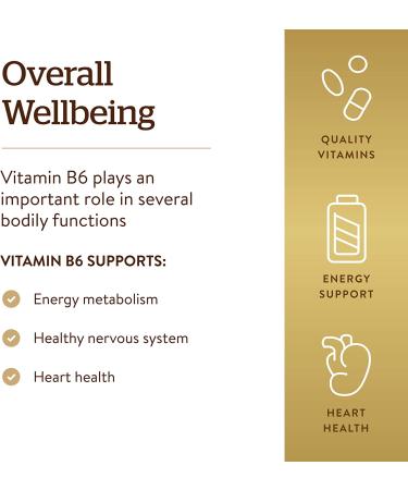 Solgar Vitamin B6 100 mg - 250 Non-GMO Vegetable Capsules for Energy & Mood - Buy Online on GoSupps.com