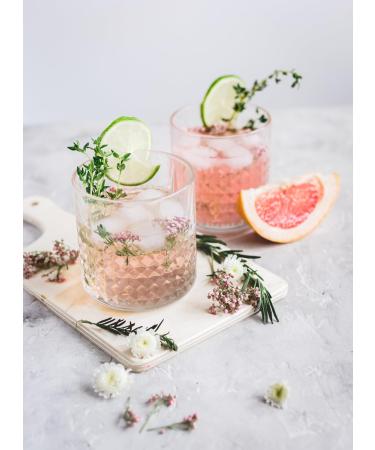 MONIN - Cocktail Set - Coconut Elderflower Mojito Mint Strawberry and Passion - 5x5cl - Buy Online on GoSupps.com