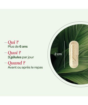 SUPERDIET - BLOTTING QUATUOR - Activated vegetable charcoal Brewer's yeast Propolis Fennel Made in France 150 capsules - Buy Online on GoSupps.com