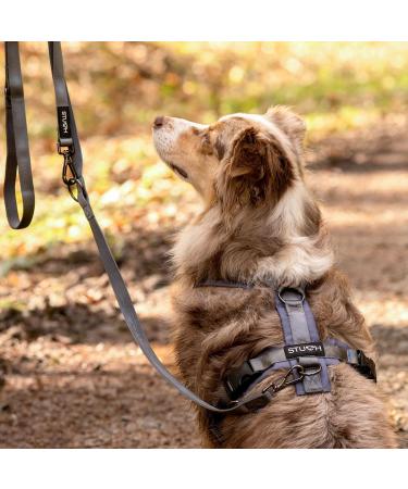 STUCH Dog Harness - Adjustable Padded Nylon Harness for Small Medium & Large Dogs - Red XS - International Shipping Available - Buy Online on GoSupps.com
