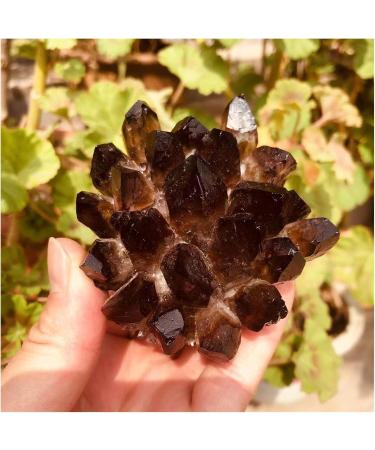 Bulk Rough Natural Black Smoky Quartz Crystal Cluster for Reiki Rock Crafts 250G-650G Crystal Cluster (Color : 450G-550G) - Buy Online on GoSupps.com