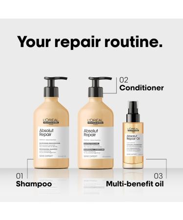 L Or al Professionnel 10-in-1 Leave-in Oil With Protein And Gold Quinoa for Dry And Damaged Hair Serie Expert Absolut Repair 90 ml Aloe 90 ml (Pack of 1) - Buy Online on GoSupps.com
