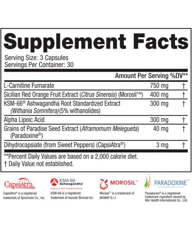 SteelFit Steel Core | Stimulant-Free Fat Burner | Boost Metabolism & Target Belly Fat | 90 Count - Weight Loss Supplement - Buy Online on GoSupps.com