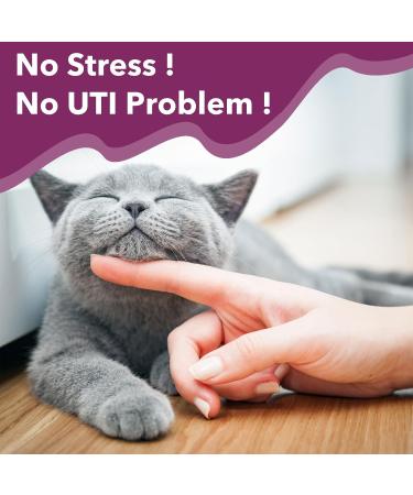 UT AID Plus for Cats & Dogs - Feline Idiopathic Cystitis & Urinary Tract Infection Support Bladder Health Incontinence Relief - 30 Capsules - Buy Online on GoSupps.com