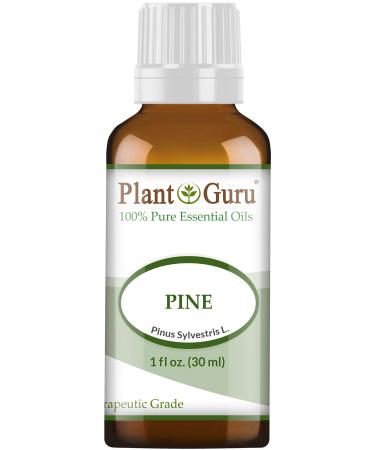 Pine Essential Oil (Pinus Sylvestris L.) 1 oz / 30 ml 100% Pure Undiluted Therapeutic Grade.