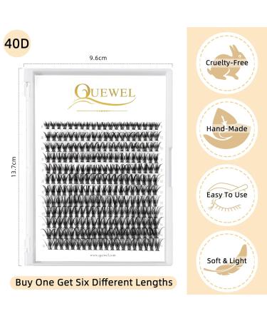 40D C Curl Individual False Eyelashes | 8-14mm Reusable DIY Cluster Lashes for Eye Makeup - Buy Online on GoSupps.com