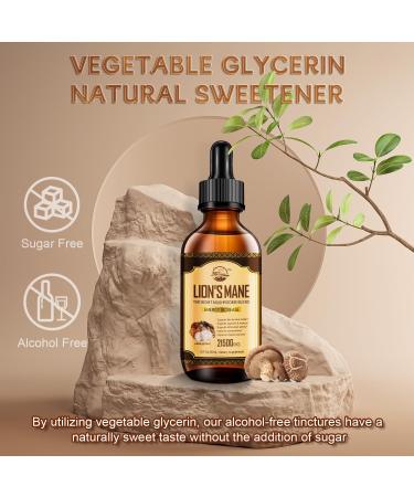 Lions Mane Supplement Liquid Mushroom Extract Drops 8 Mushrooms Complex for Cognitive Support and Immunity Boost Up to 2 Month Supply Mushroom Supplement with Lion's Mane Cordyceps Reishi 2 Fl Oz (Pack of 1) - Buy Online on GoSupps.com