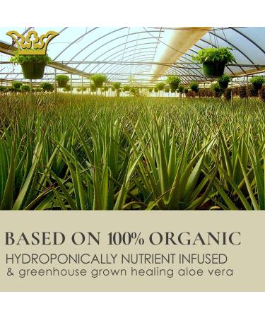 Gunilla Ceramide Cream A17 - 24-Hour Anti-Aging Moisturizer | Natural Vegan Formula with 17 Actives & Botanicals | Reduce Fine Lines & Wrinkles | 2oz - Buy Online on GoSupps.com