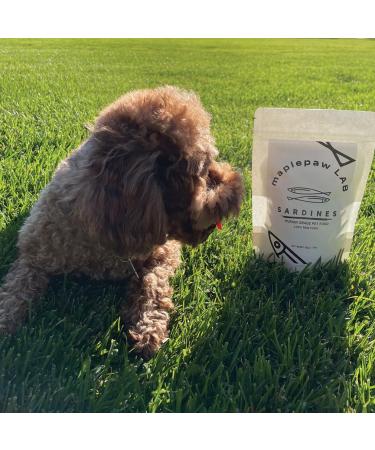 maplepaw Treats Dried Sardines for Dogs and Cats 100% RAW Training Treats with Omega 3 and Calcium for Brain Heart Skin and Coat Health - Buy Online on GoSupps.com