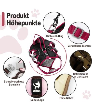 Multi-Purpose Dog Harness & Leash Set - Outbreak-Proof Anti-Train Safety Harness for Small & Medium Dogs (Black M) - Buy Online on GoSupps.com