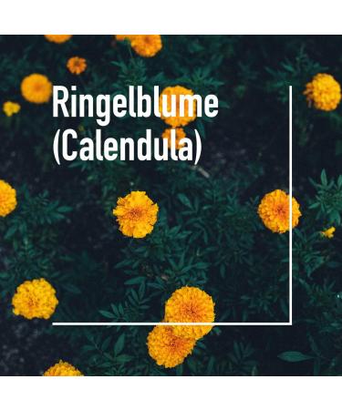 Vitabay McVital Calendula Officinalis Moisturizing Body Oil 50ml - Calendula Oil Grape Seed Oil/OPC Beeswax Vitamin E - 100% Natural Moisturizing and Protective Oil - Buy Online on GoSupps.com